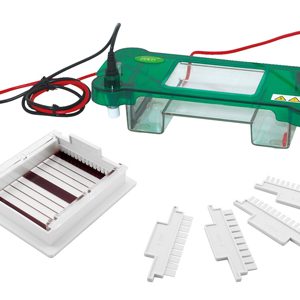 Horizontal Electrophoresis YR03416
