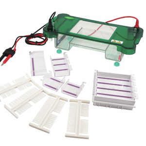 Horizontal Electrophoresis YR03417