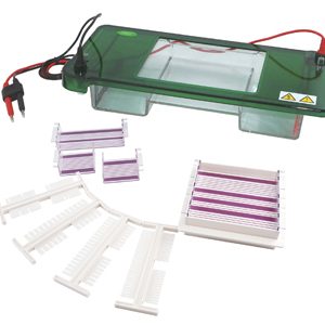 Horizontal Electrophoresis YR03418