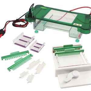 Horizontal Electrophoresis YR03419