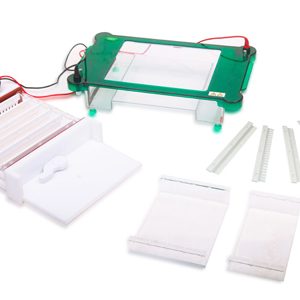 Horizontal Electrophoresis YR03420