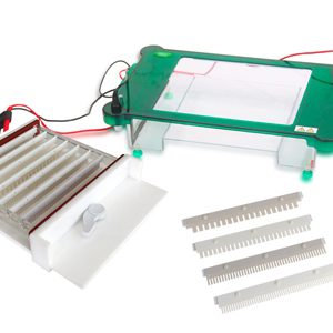 Horizontal Electrophoresis YR03421