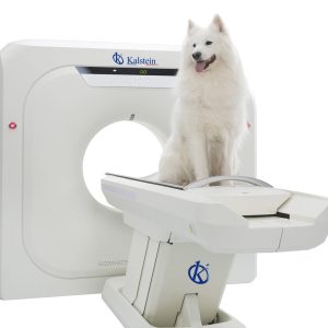 Veterinary CT Scanner YR06166