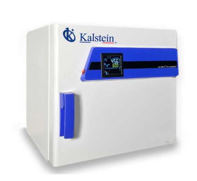 Programmable Thermostatic Bacteria Incubator YR06441//YR06443